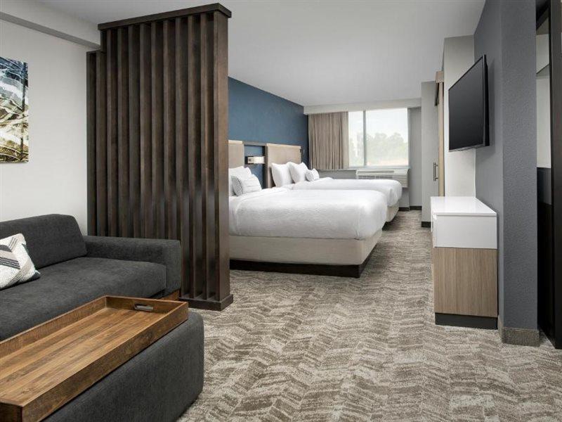 Springhill Suites By Marriott Atlanta Perimeter Center Sandy Springs Exterior photo